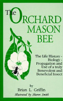 Orchard Mason Bee